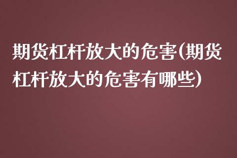 期货杠杆放大的危害(期货杠杆放大的危害有哪些) (https://www.njaxzs.com/) 期货直播间 第1张