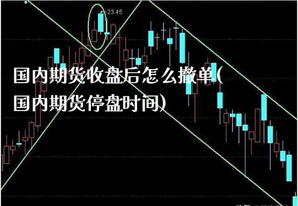 国内期货收盘后怎么撤单(国内期货停盘时间) 原油期货 第1张-爱新财经 国内期货收盘后怎么撤单(国内期货停盘时间) (https://www.njaxzs.com/) 原油期货 第1张