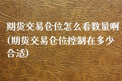 期货交易仓位怎么看数量啊(期货交易仓位控制在多少合适) (https://www.njaxzs.com/) 期货投资 第1张