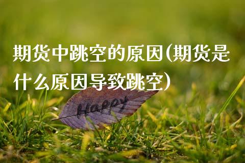 期货中跳空的原因(期货是什么原因导致跳空) (https://www.njaxzs.com/) 期货投资 第1张