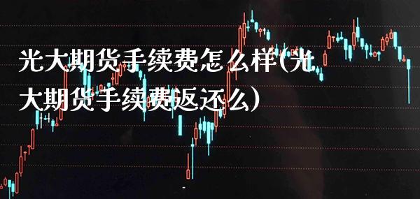 光大期货手续费怎么样(光大期货手续费返还么) (https://www.njaxzs.com/) 黄金期货 第1张