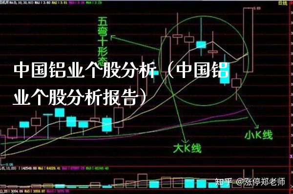 中国铝业个股分析（中国铝业个股分析报告） (https://www.njaxzs.com/) 期货直播间 第1张