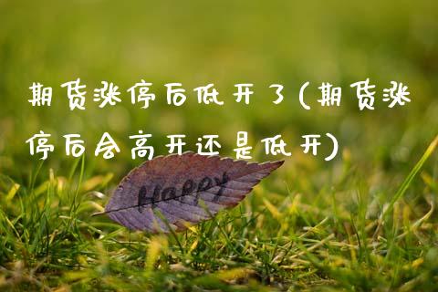 期货涨停后低开了(期货涨停后会高开还是低开) (https://www.njaxzs.com/) 期货行情 第1张