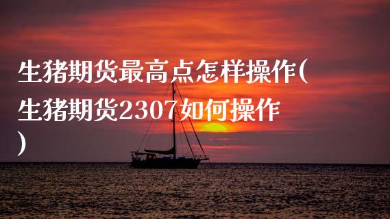 生猪期货最高点怎样操作(生猪期货2307如何操作) (https://www.njaxzs.com/) 黄金期货 第1张