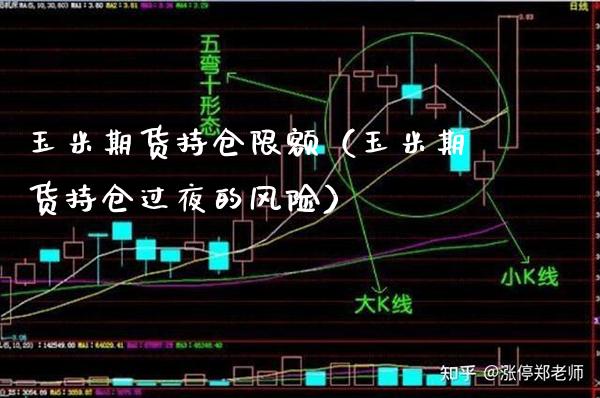 玉米期货持仓限额（玉米期货持仓过夜的风险） (https://www.njaxzs.com/) 内盘期货 第1张