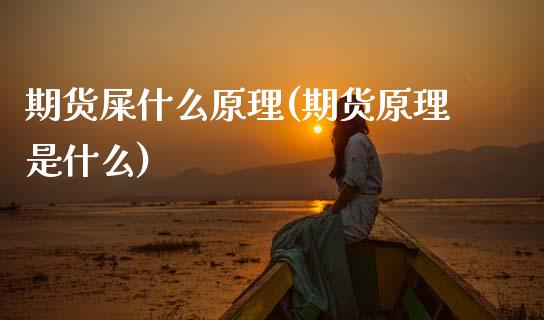 期货屎什么原理(期货原理是什么) (https://www.njaxzs.com/) 内盘期货 第1张