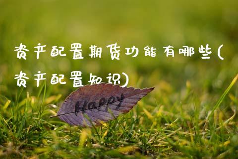 资产配置期货功能有哪些(资产配置知识) (https://www.njaxzs.com/) 期货直播间 第1张