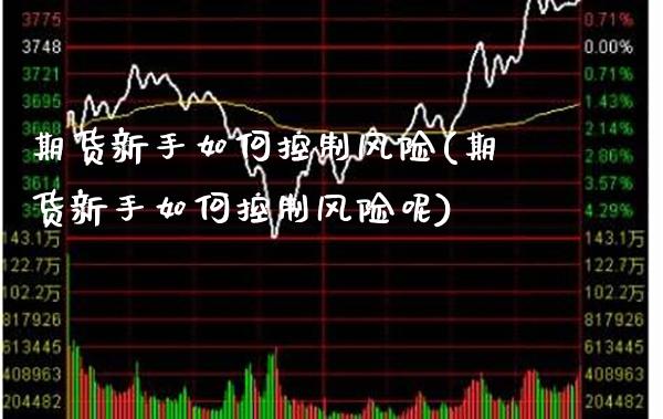 期货新手如何控制风险(期货新手如何控制风险呢) (https://www.njaxzs.com/) 期货行情 第1张