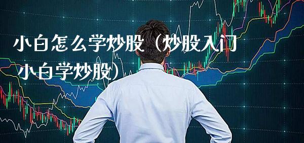 小白怎么学炒股(炒股入门 小白学炒股) 期货直播间 第1张-爱新财经 小白怎么学炒股(炒股入门 小白学炒股) (https://www.njaxzs.com/) 期货直播间 第1张