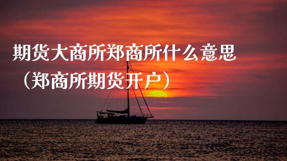 期货大商所郑商所什么意思（郑商所期货开户） (https://www.njaxzs.com/) 内盘期货 第1张