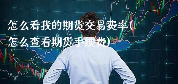 怎么看我的期货交易费率(怎么查看期货手续费) (https://www.njaxzs.com/) 黄金期货 第1张