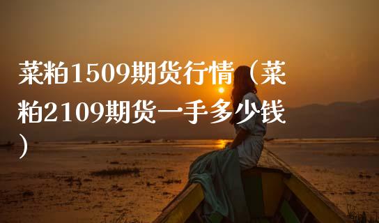 菜粕1509期货行情（菜粕2109期货一手多少钱） (https://www.njaxzs.com/) 期货行情 第1张