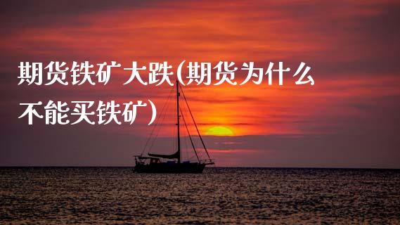 期货铁矿大跌(期货为什么不能买铁矿) (https://www.njaxzs.com/) 黄金期货 第1张