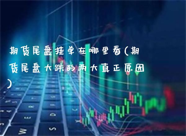 期货尾盘挂单在哪里看(期货尾盘大跌的两大真正原因) (https://www.njaxzs.com/) 黄金期货 第1张