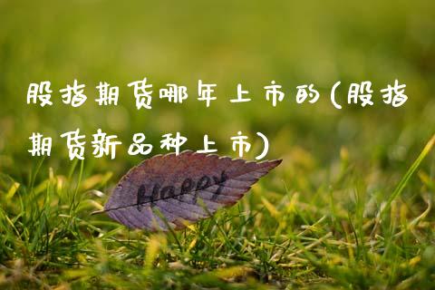 股指期货哪年上市的(股指期货新品种上市) (https://www.njaxzs.com/) 黄金期货 第1张