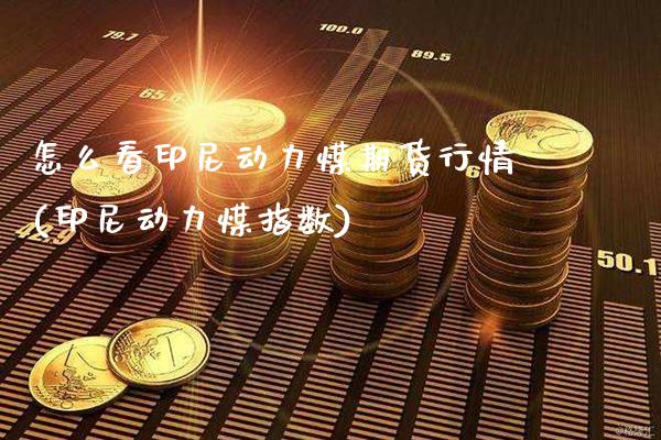 怎么看印尼动力煤期货行情(印尼动力煤指数) (https://www.njaxzs.com/) 期货开户 第1张