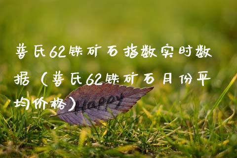 普氏62铁矿石指数实时数据（普氏62铁矿石月份平均） (https://www.njaxzs.com/) 期货直播间 第1张