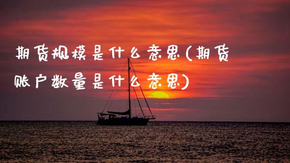 期货规模是什么意思(期货账户数量是什么意思) (https://www.njaxzs.com/) 期货行情 第1张