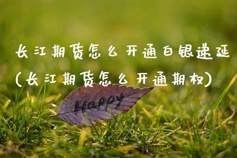 长江期货怎么开通白银递延(长江期货怎么开通期权) (https://www.njaxzs.com/) 黄金期货 第1张