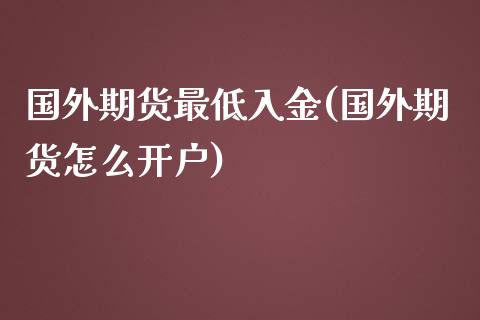 国外期货最低入金(国外期货怎么开户) (https://www.njaxzs.com/) 期货投资 第1张