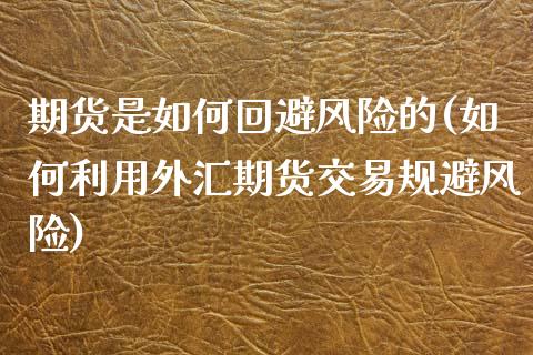 期货是如何回避风险的(如何利用外汇期货交易规避风险) (https://www.njaxzs.com/) 期货投资 第1张