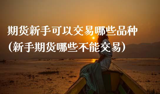期货新手可以交易哪些品种(新手期货哪些不能交易) (https://www.njaxzs.com/) 原油期货 第1张