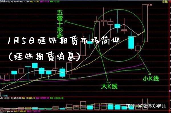 1月5日硅铁期货市场简评(硅铁期货消息) (https://www.njaxzs.com/) 原油期货 第1张