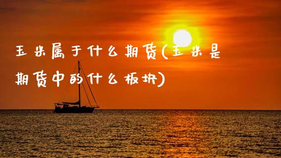 玉米属于什么期货(玉米是期货中的什么板块) (https://www.njaxzs.com/) 期货行情 第1张