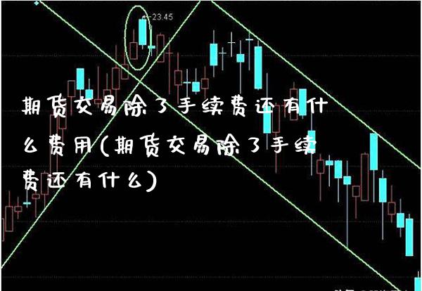 期货交易除了手续费还有什么费用(期货交易除了手续费还有什么) (https://www.njaxzs.com/) 期货行情 第1张
