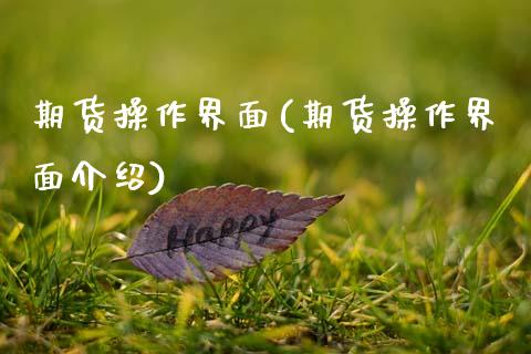 期货操作界面(期货操作界面介绍) (https://www.njaxzs.com/) 期货直播间 第1张