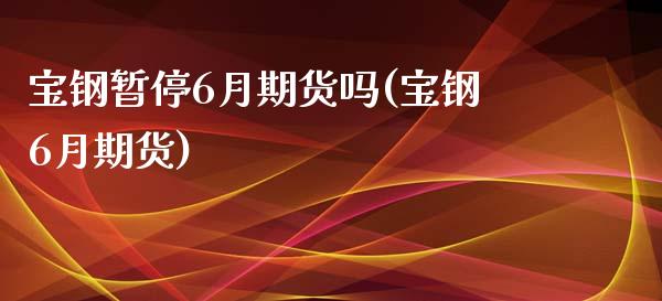 宝钢暂停6月期货吗(宝钢6月期货) (https://www.njaxzs.com/) 原油期货 第1张