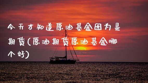 今天才知道原油基金因为是期货(原油期货原油基金哪个好) 期货行情 第1张-爱新财经 今天才知道原油基金因为是期货(原油期货原油基金哪个好) (https://www.njaxzs.com/) 期货行情 第1张