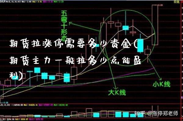 期货拉涨停需要多少资金(期货主力一般拉多少点能盈利) (https://www.njaxzs.com/) 内盘期货 第1张
