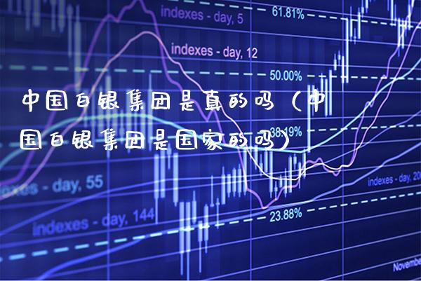 中国白银集团是真的吗（中国白银集团是国家的吗） (https://www.njaxzs.com/) 期货行情 第1张