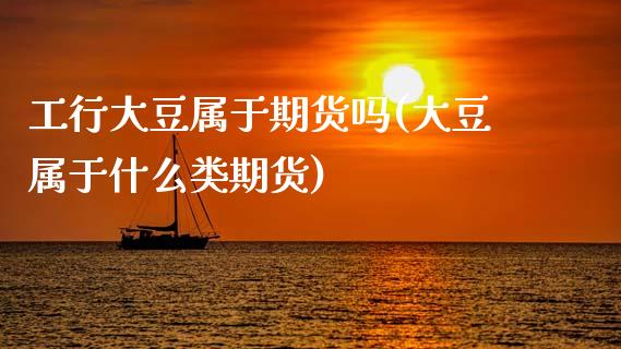 工行大豆属于期货吗(大豆属于什么类期货) (https://www.njaxzs.com/) 期货开户 第1张