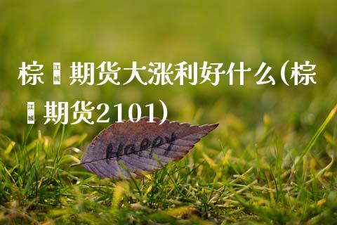 棕榈期货大涨利好什么(棕榈期货2101) (https://www.njaxzs.com/) 期货直播间 第1张