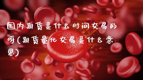 国内期货是什么时间交易的呀(期货量化交易是什么意思) (https://www.njaxzs.com/) 期货开户 第1张