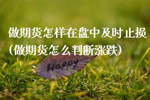 做期货怎样在盘中及时止损(做期货怎么判断涨跌) (https://www.njaxzs.com/) 内盘期货 第1张