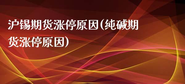 沪锡期货涨停原因(纯碱期货涨停原因) (https://www.njaxzs.com/) 原油期货 第1张