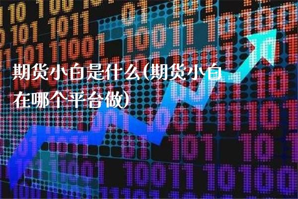 期货小白是什么(期货小白在哪个平台做) (https://www.njaxzs.com/) 内盘期货 第1张