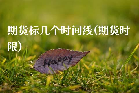 期货标几个时间线(期货时限) (https://www.njaxzs.com/) 黄金期货 第1张