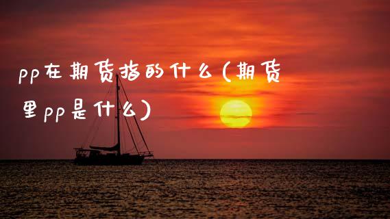 pp在期货指的什么(期货里pp是什么) (https://www.njaxzs.com/) 期货直播间 第1张