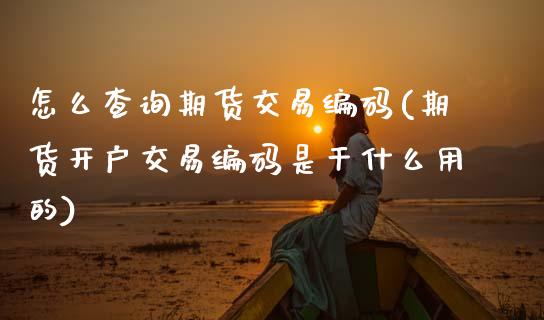 怎么查询期货交易编码(期货开户交易编码是干什么用的) (https://www.njaxzs.com/) 期货行情 第1张