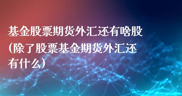 基金股票期货外汇还有啥股(除了股票基金期货外汇还有什么) (https://www.njaxzs.com/) 期货直播间 第1张