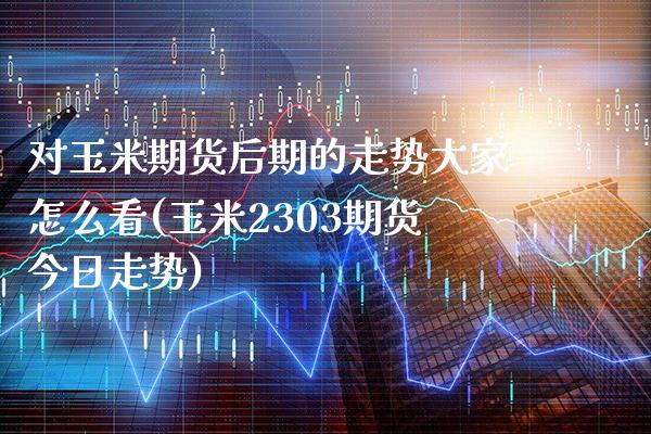 对玉米期货后期的走势大家怎么看(玉米2303期货今日走势) (https://www.njaxzs.com/) 内盘期货 第1张