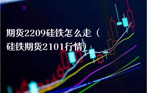 期货2209硅铁怎么走（硅铁期货2101行情） (https://www.njaxzs.com/) 期货行情 第1张