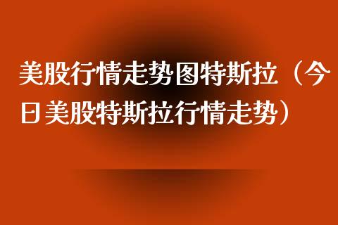 美股行情走势图特斯拉（今日美股特斯拉行情走势） (https://www.njaxzs.com/) 期货行情 第1张