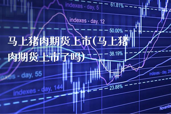 马上猪肉期货上市(马上猪肉期货上市了吗) (https://www.njaxzs.com/) 黄金期货 第1张