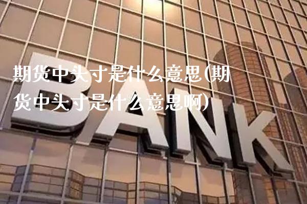 期货中头寸是什么意思(期货中头寸是什么意思啊) (https://www.njaxzs.com/) 期货直播间 第1张
