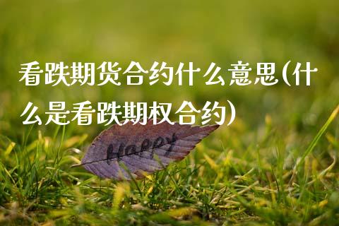 看跌期货合约什么意思(什么是看跌期权合约) (https://www.njaxzs.com/) 期货行情 第1张